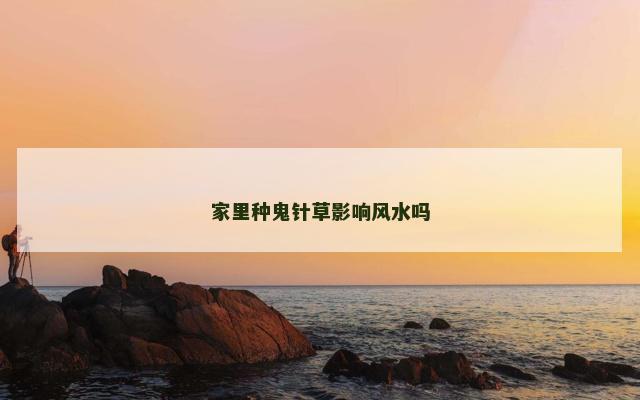 家里种鬼针草影响风水吗