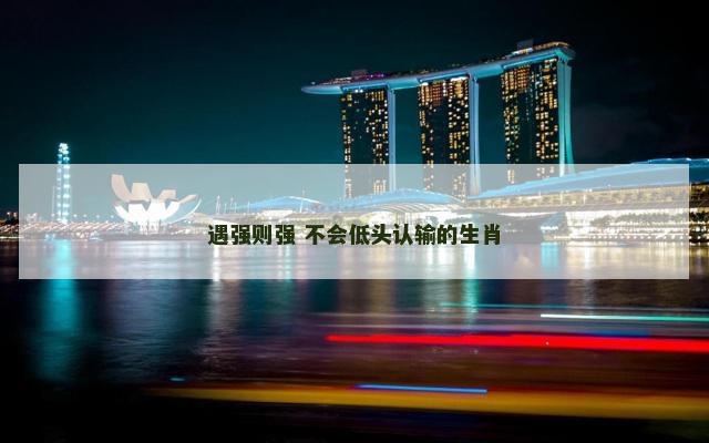 遇强则强 不会低头认输的生肖