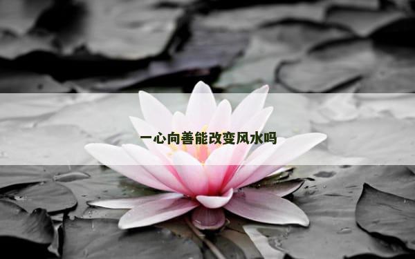 一心向善能改变风水吗
