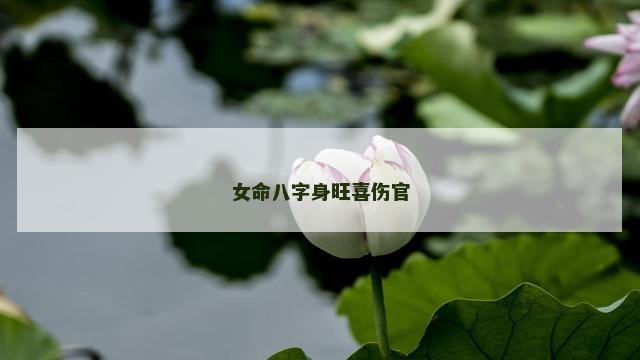 女命八字身旺喜伤官 女命八字身旺喜伤官