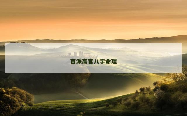 盲派高官八字命理