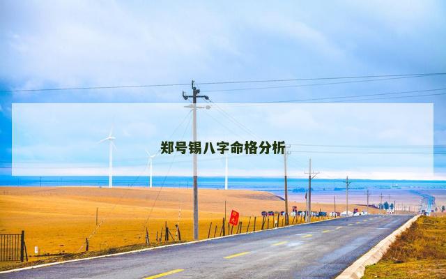 郑号锡八字命格分析