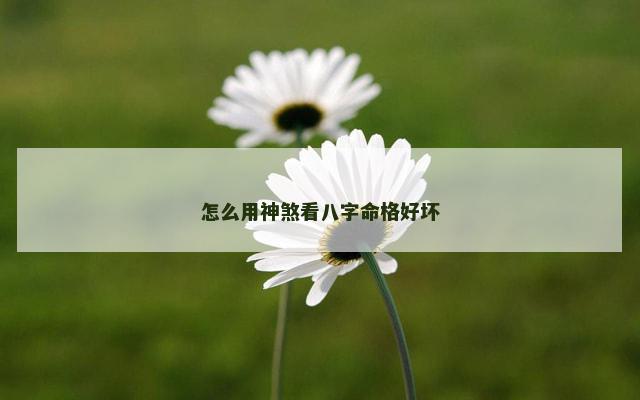 怎么用神煞看八字命格好坏