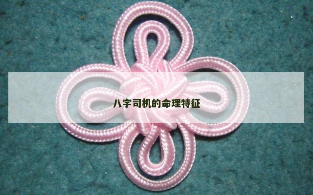 八字司机的命理特征