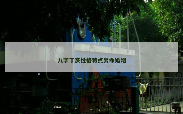 八字丁亥性格特点男命婚姻