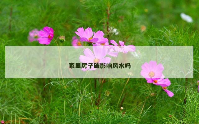 家里房子破影响风水吗