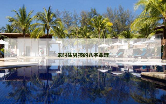 未时生男孩的八字命理