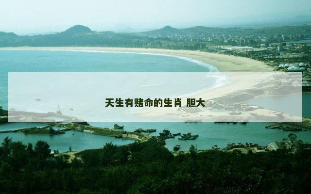 天生有赌命的生肖 胆大 天生有赌命的生肖 胆大