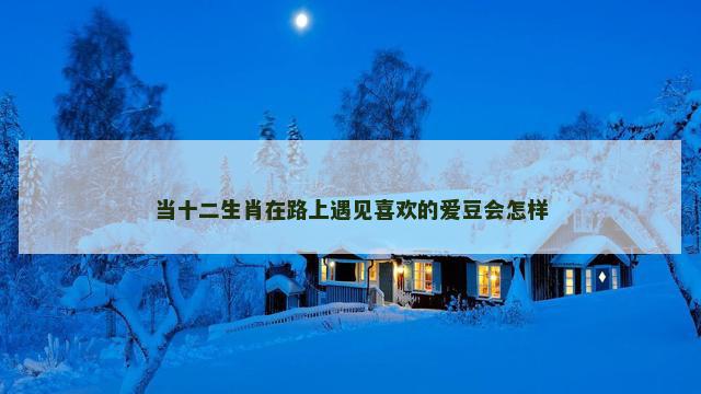 当十二生肖在路上遇见喜欢的爱豆会怎样 当十二生肖在路上遇见喜欢的爱豆会怎样