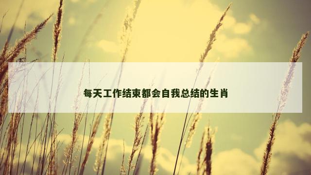 每天工作结束都会自我总结的生肖 每天工作结束都会自我总结的生肖
