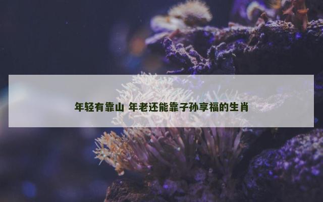 年轻有靠山 年老还能靠子孙享福的生肖