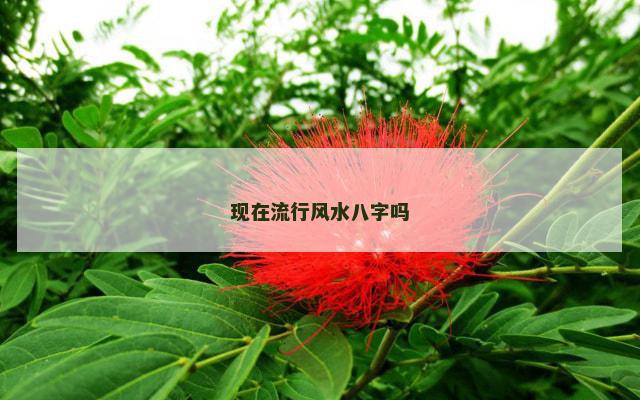 现在流行风水八字吗