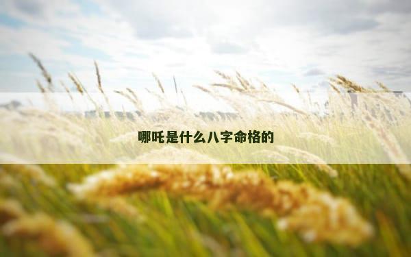 哪吒是什么八字命格的