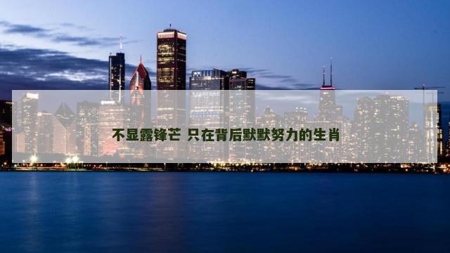 不显露锋芒 只在背后默默努力的生肖
