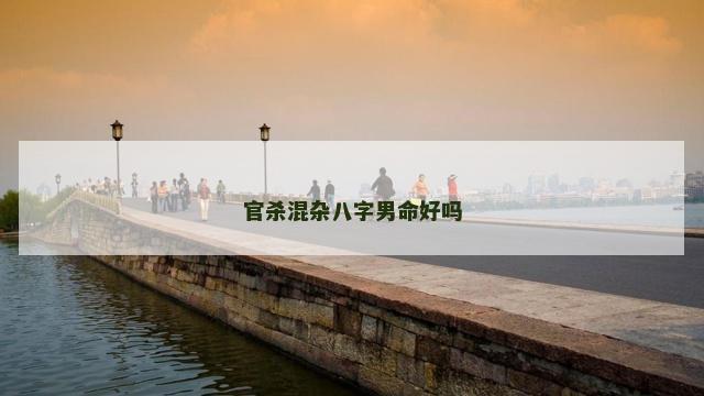 官杀混杂八字男命好吗