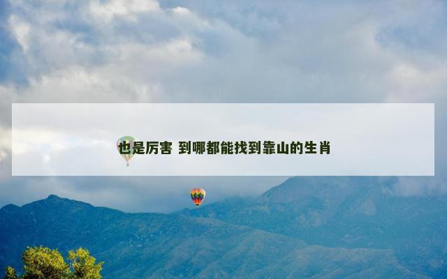 也是厉害 到哪都能找到靠山的生肖