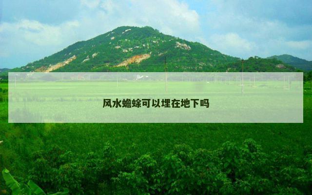 风水蟾蜍可以埋在地下吗