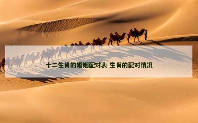 十二生肖的婚姻配对表 生肖的配对情况 十二生肖的婚姻配对表 生肖的配对情况