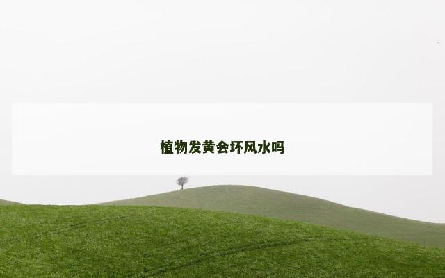植物发黄会坏风水吗