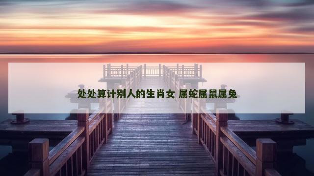 处处算计别人的生肖女 属蛇属鼠属兔 处处算计别人的生肖女 属蛇属鼠属兔