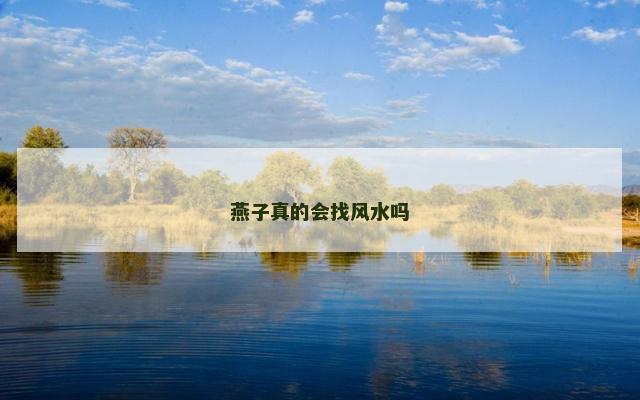 燕子真的会找风水吗 燕子真的会找风水吗