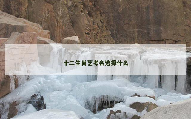 十二生肖艺考会选择什么
