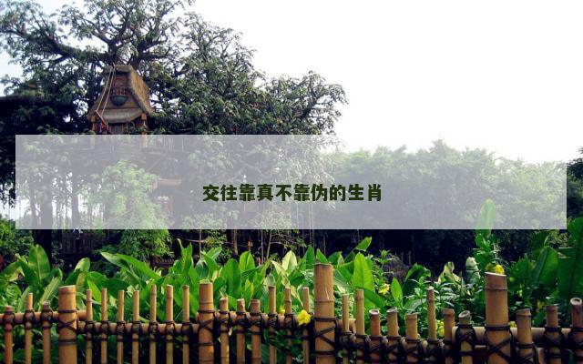 交往靠真不靠伪的生肖 交往靠真不靠伪的生肖