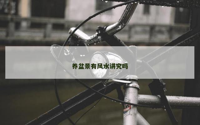 养盆景有风水讲究吗 养盆景有风水讲究吗