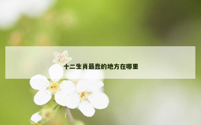 十二生肖最蠢的地方在哪里 十二生肖最蠢的地方在哪里