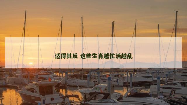 适得其反 这些生肖越忙活越乱 适得其反 这些生肖越忙活越乱