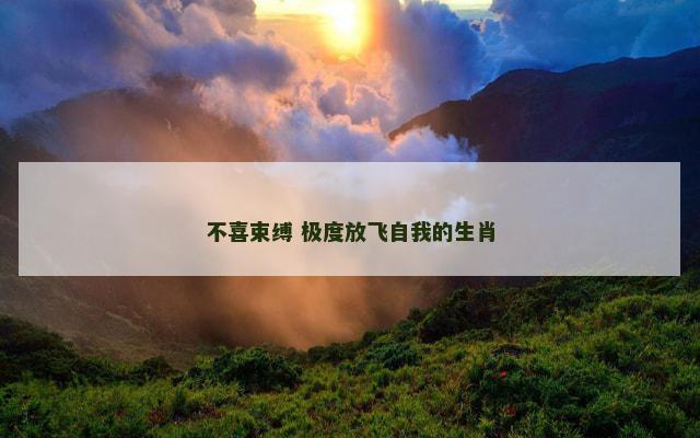 不喜束缚 极度放飞自我的生肖