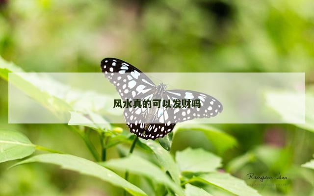 风水真的可以发财吗