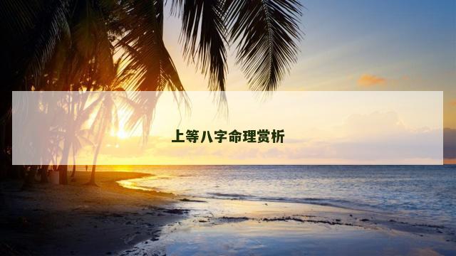 上等八字命理赏析 上等八字命理赏析