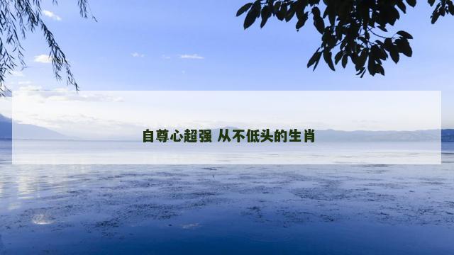 自尊心超强 从不低头的生肖 自尊心超强 从不低头的生肖