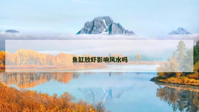 鱼缸放虾影响风水吗 鱼缸放虾影响风水吗