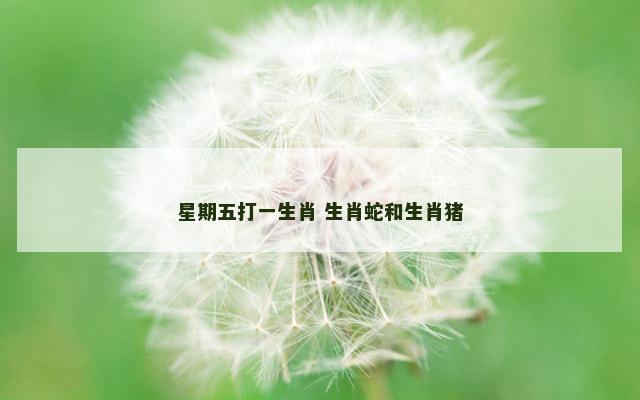 星期五打一生肖 生肖蛇和生肖猪 星期五打一生肖 生肖蛇和生肖猪