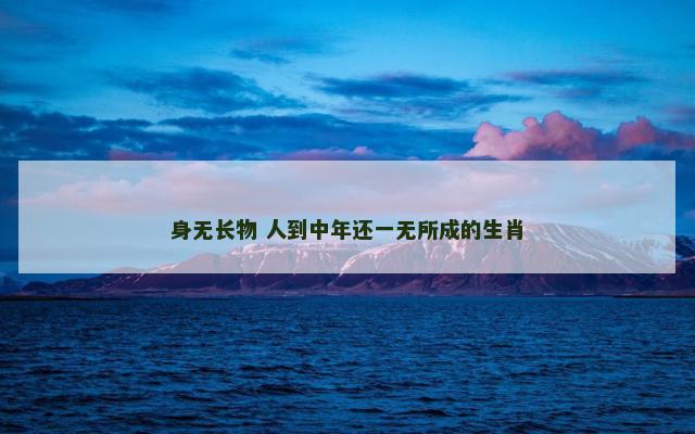 身无长物 人到中年还一无所成的生肖