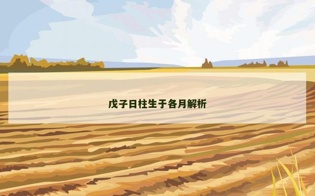 戊子日柱生于各月解析