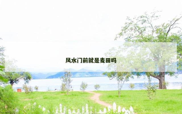 风水门前就是麦田吗