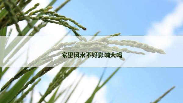 家里风水不好影响大吗
