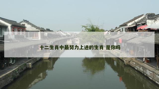 十二生肖中最努力上进的生肖 是你吗