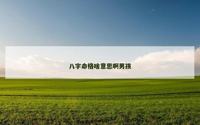 八字命格啥意思啊男孩