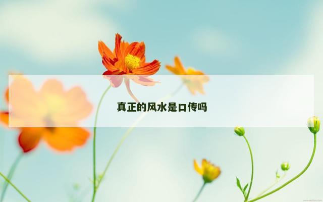 真正的风水是口传吗