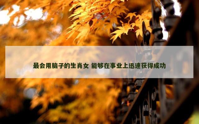 最会用脑子的生肖女 能够在事业上迅速获得成功