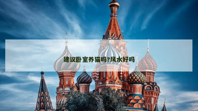 建议卧室养猫吗?风水好吗