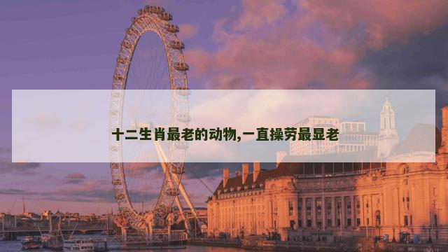 十二生肖最老的动物,一直操劳最显老 十二生肖最老的动物,一直操劳最显老