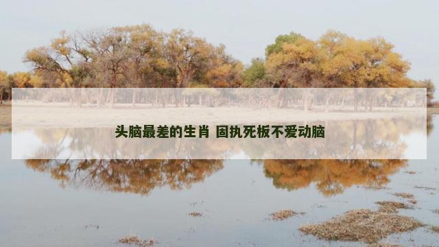 头脑最差的生肖 固执死板不爱动脑