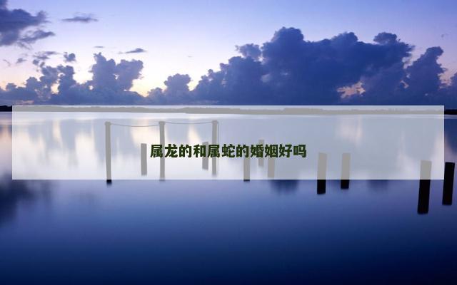 属龙的和属蛇的婚姻好吗