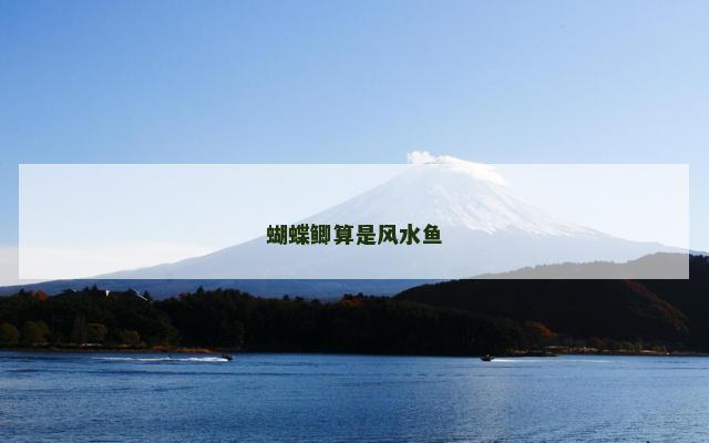 蝴蝶鲫算是风水鱼