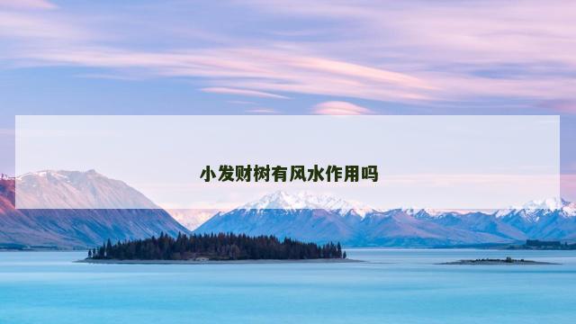 小发财树有风水作用吗